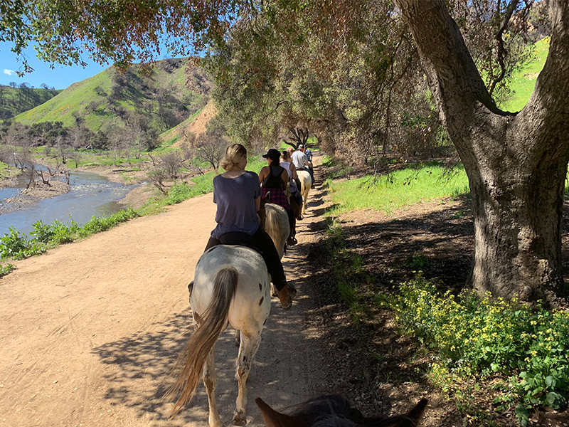 MalibuCreek